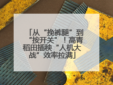 从“挽裤腿”到“按开关”！高青稻田插秧“人机大战”效率拉满