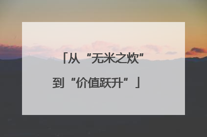 从“无米之炊”到“价值跃升”