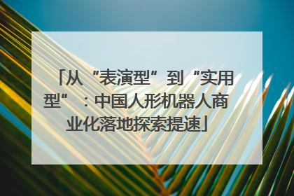 从“表演型”到“实用型”：中国人形机器人商业化落地探索提速