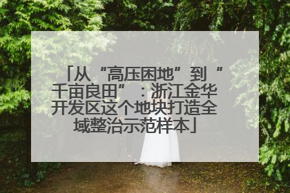 从“高压困地”到“千亩良田”：浙江金华开发区这个地块打造全域整治示范样本