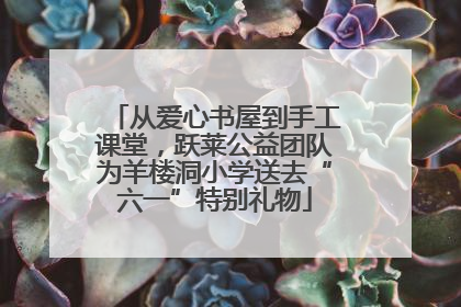 从爱心书屋到手工课堂，跃莱公益团队为羊楼洞小学送去“六一”特别礼物