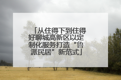 从住得下到住得好聊城高新区以定制化服务打造“鲁派民居”新范式
