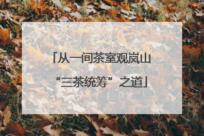 从一间茶室观岚山“三茶统筹”之道