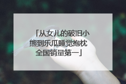 从女儿的破旧小熊到乐瓜睡觉抱枕全国销量第一