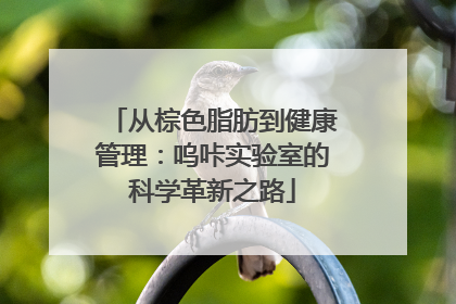 从棕色脂肪到健康管理：呜咔实验室的科学革新之路