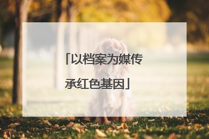 以档案为媒传承红色基因