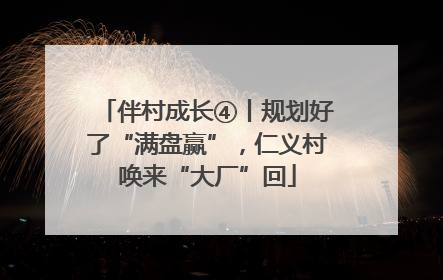 伴村成长④丨规划好了“满盘赢”，仁义村唤来“大厂”回