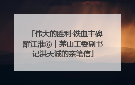 伟大的胜利·铁血丰碑耀江淮⑥｜茅山工委副书记洪天诚的亲笔信