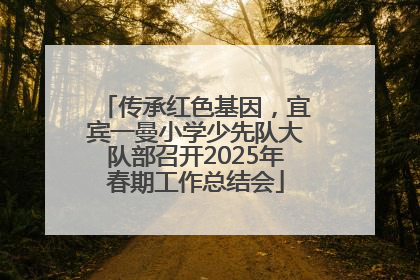 传承红色基因，宜宾一曼小学少先队大队部召开2025年春期工作总结会