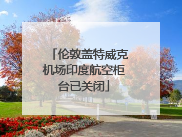 伦敦盖特威克机场印度航空柜台已关闭