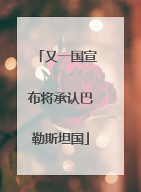 又一国宣布将承认巴勒斯坦国