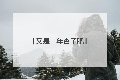 又是一年杏子肥