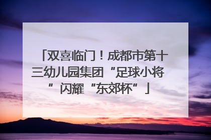 双喜临门！成都市第十三幼儿园集团“足球小将”闪耀“东郊杯”