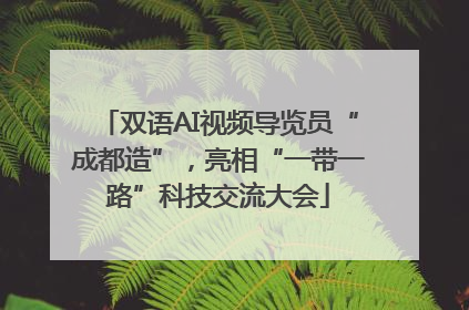 双语AI视频导览员“成都造”，亮相“一带一路”科技交流大会