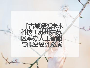 古城邂逅未来科技！苏州姑苏区举办人工智能与低空经济路演对接活动