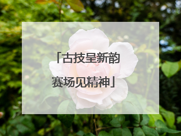 古技呈新韵 赛场见精神