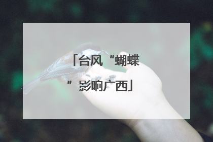 台风“蝴蝶”影响广西