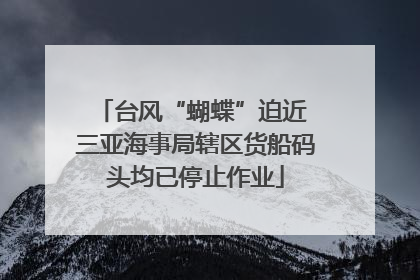 台风“蝴蝶”迫近 三亚海事局辖区货船码头均已停止作业