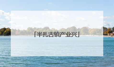 半扎古镇产业兴