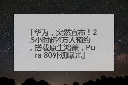 华为，突然宣布！2.5小时超4万人预约，搭载原生鸿蒙，Pura 80外观曝光