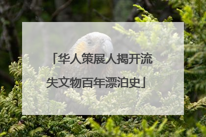 华人策展人揭开流失文物百年漂泊史