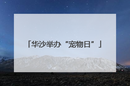 华沙举办“宠物日”