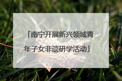 南宁开展新兴领域青年子女非遗研学活动