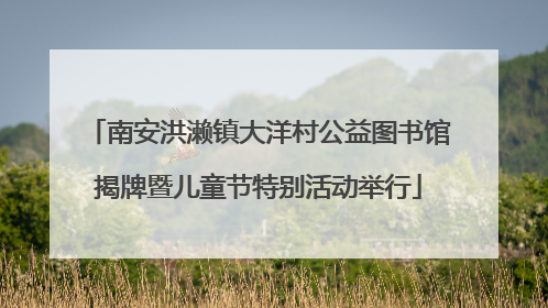 南安洪濑镇大洋村公益图书馆揭牌暨儿童节特别活动举行