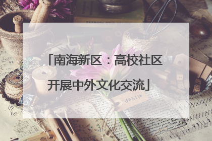 南海新区：高校社区开展中外文化交流