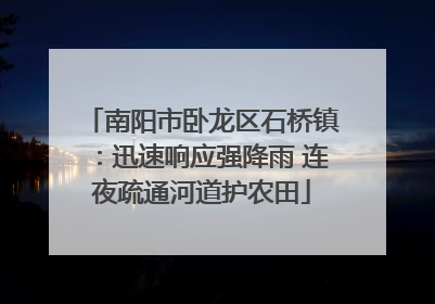 南阳市卧龙区石桥镇：迅速响应强降雨 连夜疏通河道护农田