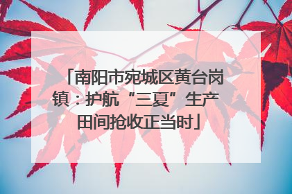 南阳市宛城区黄台岗镇：护航“三夏”生产 田间抢收正当时