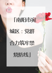南阳市宛城区：党群合力筑牢禁烧防线