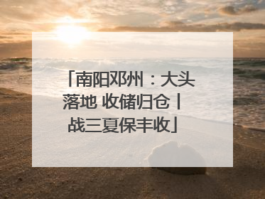 南阳邓州：大头落地 收储归仓丨战三夏保丰收