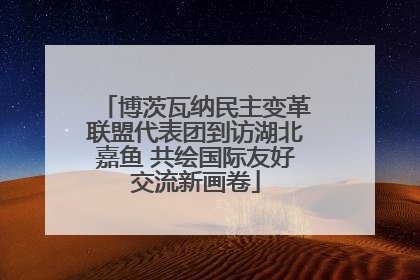 博茨瓦纳民主变革联盟代表团到访湖北嘉鱼 共绘国际友好交流新画卷