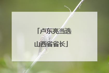卢东亮当选山西省省长