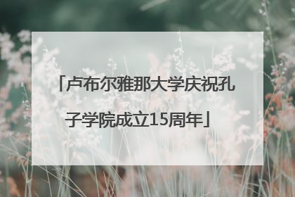 卢布尔雅那大学庆祝孔子学院成立15周年