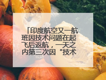 印度航空又一航班因技术问题在起飞后返航，一天之内第三次因“技术问题”返航