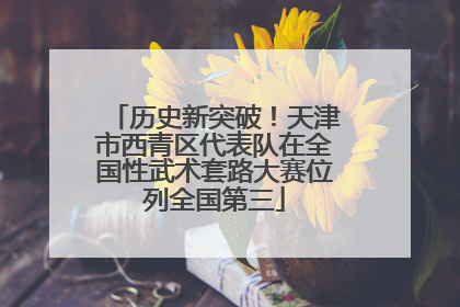 历史新突破！天津市西青区代表队在全国性武术套路大赛位列全国第三