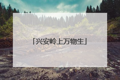 兴安岭上万物生