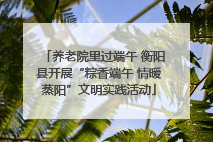 养老院里过端午 衡阳县开展“粽香端午 情暖蒸阳”文明实践活动