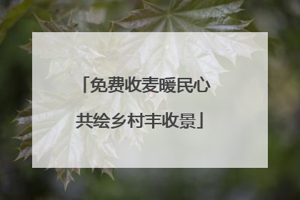 免费收麦暖民心 共绘乡村丰收景