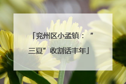 兖州区小孟镇：“三夏”收割话丰年