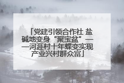 党建引领合作社 盐碱地变身“聚宝盆”——河涯村十年蝶变实现产业兴村群众富