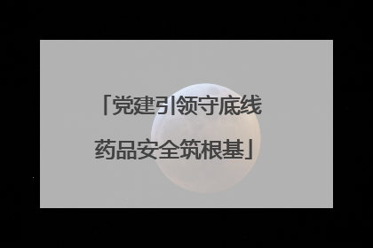 党建引领守底线 药品安全筑根基