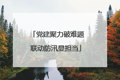 党建聚力破难题 联动防汛显担当