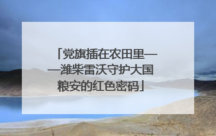 党旗插在农田里——潍柴雷沃守护大国粮安的红色密码