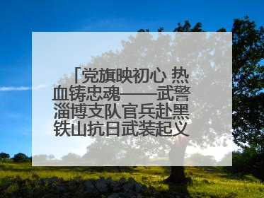 党旗映初心 热血铸忠魂——武警淄博支队官兵赴黑铁山抗日武装起义纪念馆开展“七一”主题党日活动