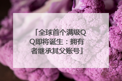 全球首个满级QQ即将诞生：拥有者继承其父账号