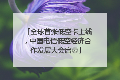 全球首张低空卡上线，中国电信低空经济合作发展大会启幕