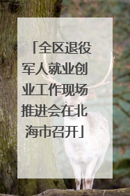全区退役军人就业创业工作现场推进会在北海市召开